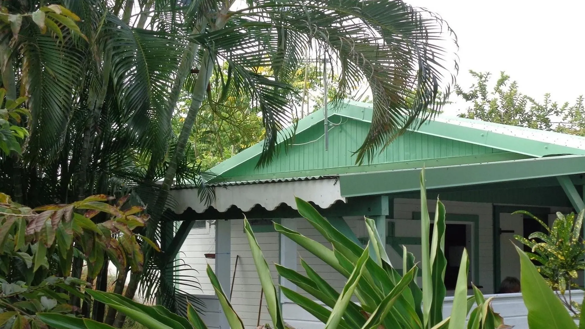 Apartment House With 2 Bedrooms In Le Moule, With Pool Access, Furnished Garden